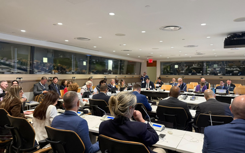 EPLO Co-Organises High-Level UN Event on Cultural Heritage