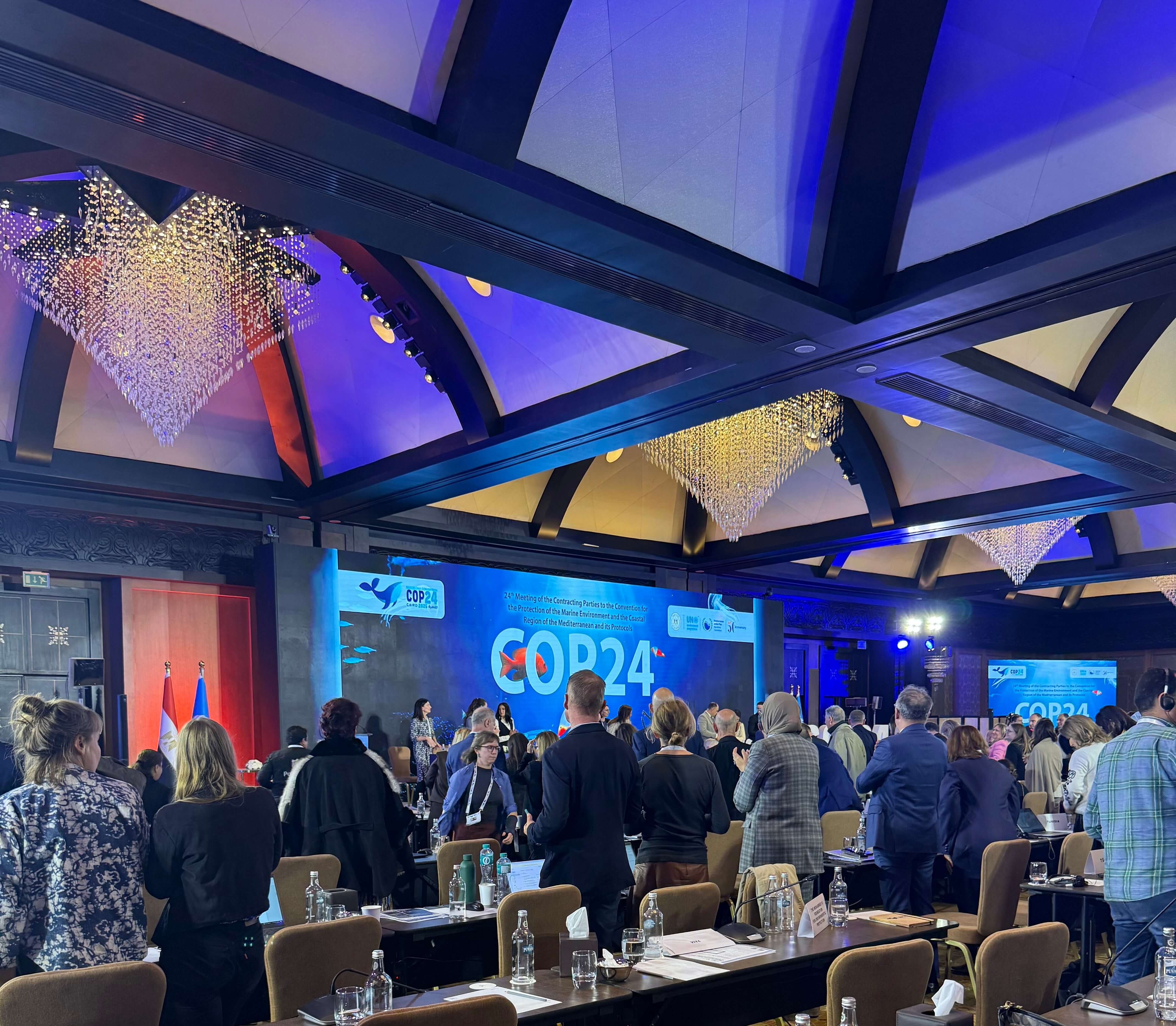 CECCI Deputy Director Analyses COP30 and UNEP/MAP COP24 Outcomes