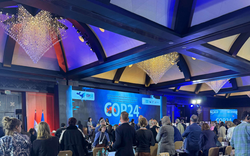 CECCI Deputy Director Analyses COP30 and UNEP/MAP COP24 Outcomes