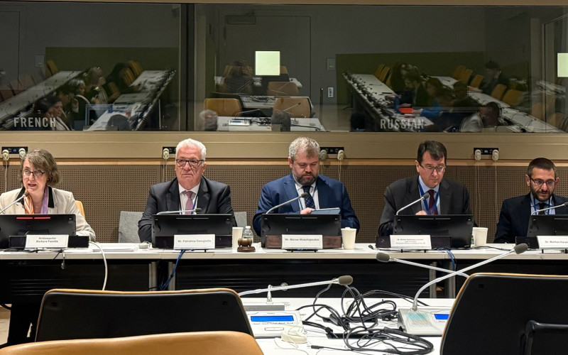 Social Cohesion in Practice: EPLO Co-Hosts IMRF Side Event on Integration, Skills and Labour Market Inclusion