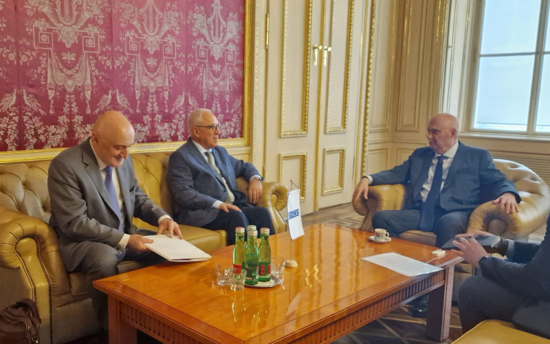 EPLO Director Meets OSCE Secretary General Feridun H. Sinirlioğlu to Discuss Future Cooperation