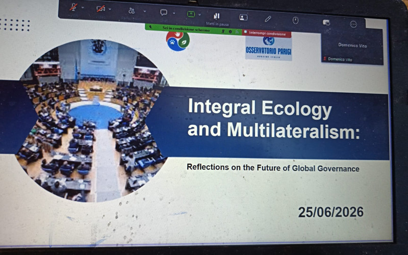 Integral Ecology and Multilateralism: Reflections on the Future of Global Governance