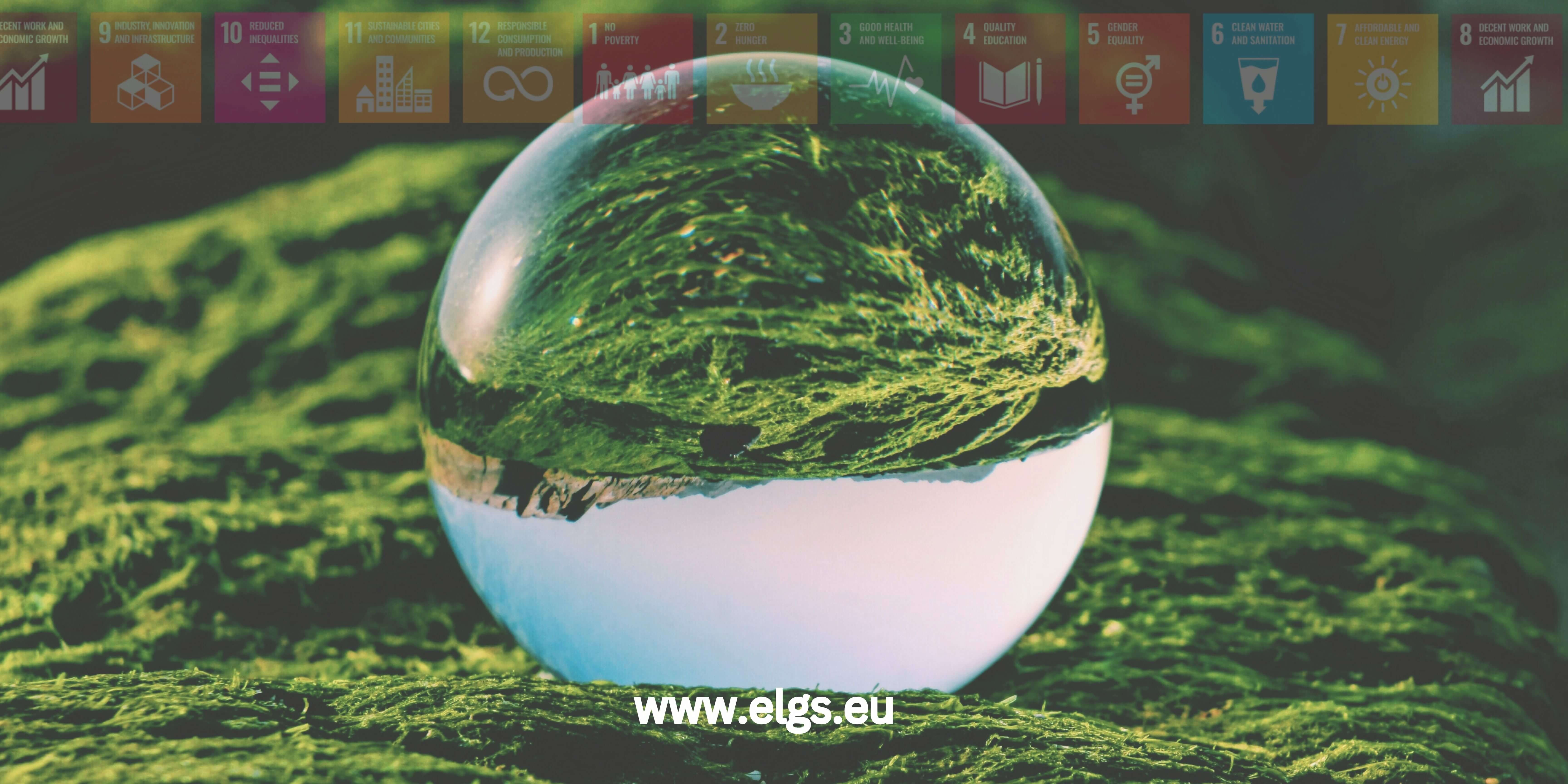 Global Administrative Law in practice: Re-imagining the Sustainable Development Goals