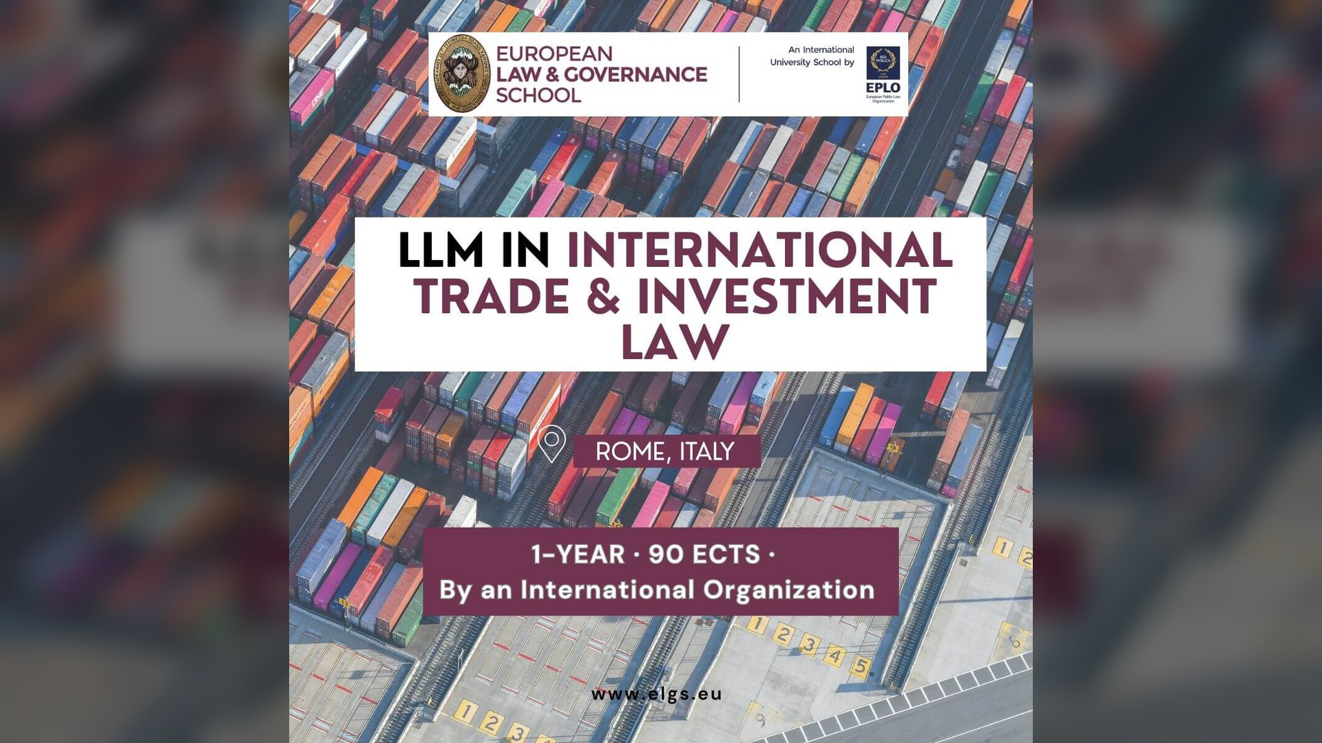 Introducing the NEW LLM in International Trade and Investment Law