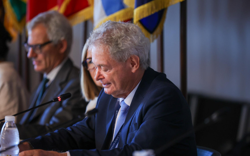 The European Group of Public Law Series: The Future of the United Nations